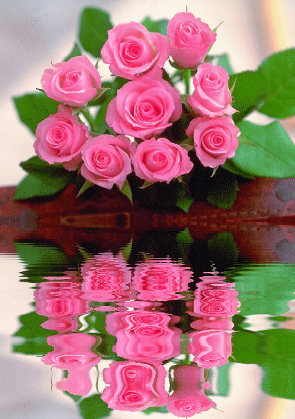 049c7b760c500f5a4e59a8202c194b63_25095.gif