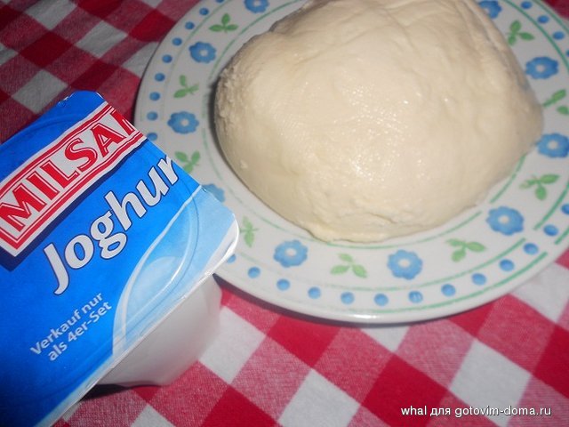 DSCN6019.JPG