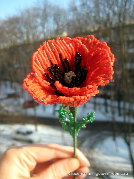IMG_8009.JPG