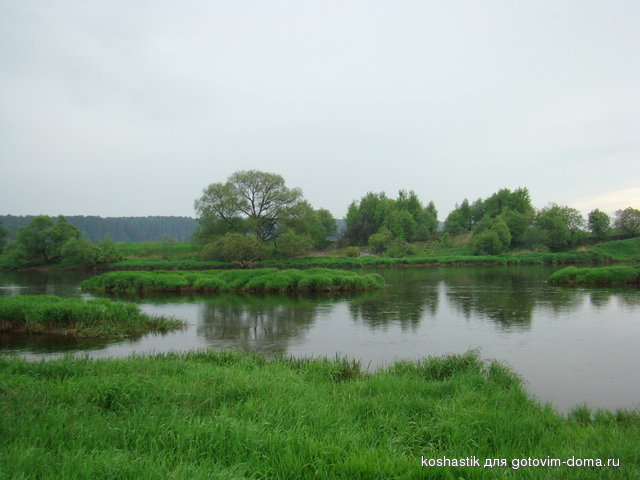 DSC04790.jpg