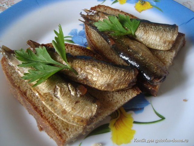 DSC01098.JPG