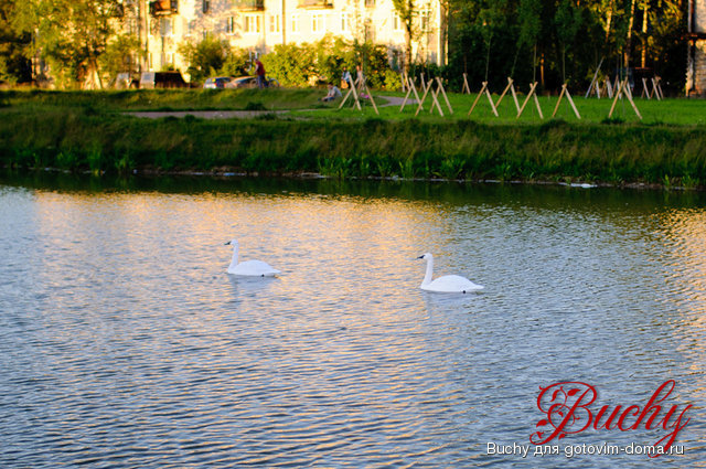 untitled_28.06.11_046-3.jpg