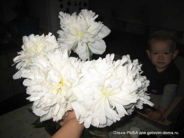 IMG_7887.JPG