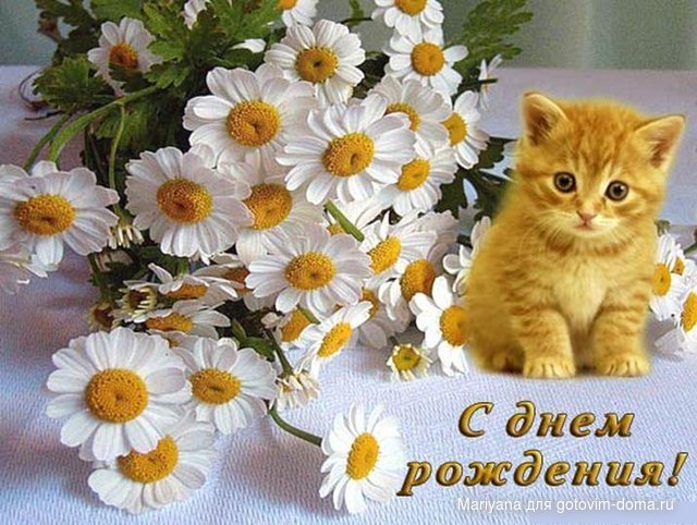 s-dnem-rozhdeniya-3617.jpg