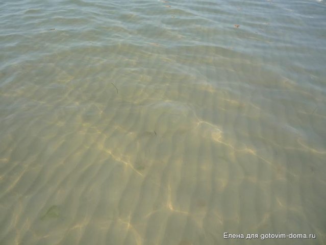 P1010740.JPG