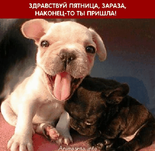 928575234.gif