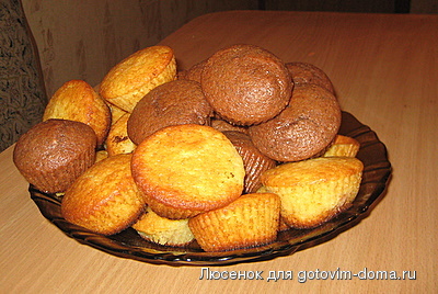 IMG_1252.jpg