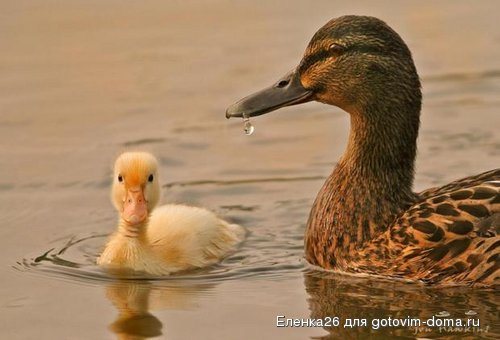 370d57e504197e3875c8972c7d569d25_full[1].jpg