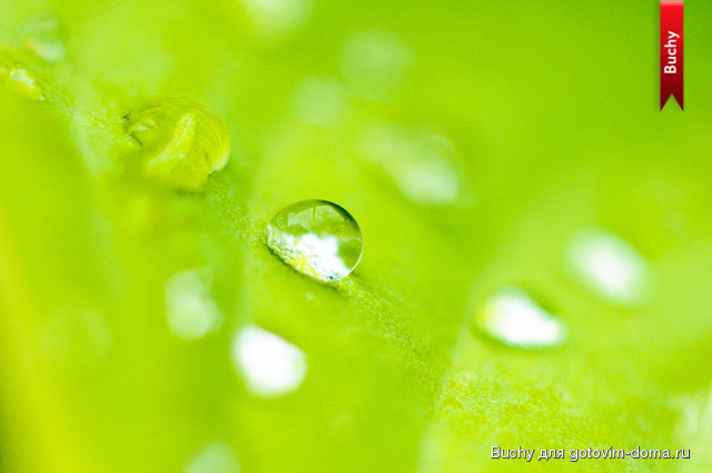 untitled_11.07.13_094.jpg