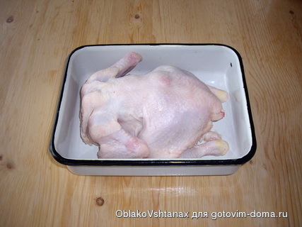 IMGP0109.JPG