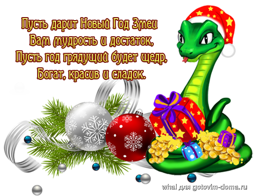 sportov-happy-new-ear-2013.png