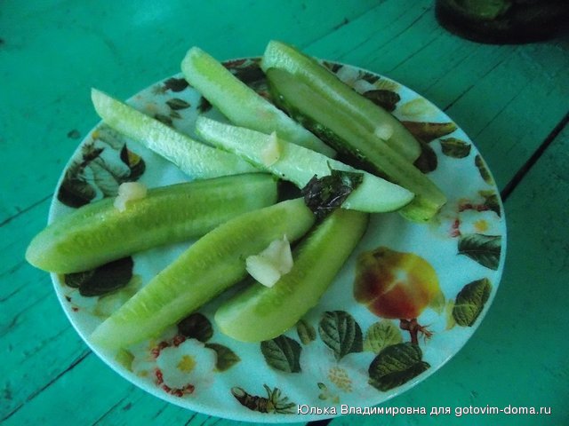 DSCN0283.jpg