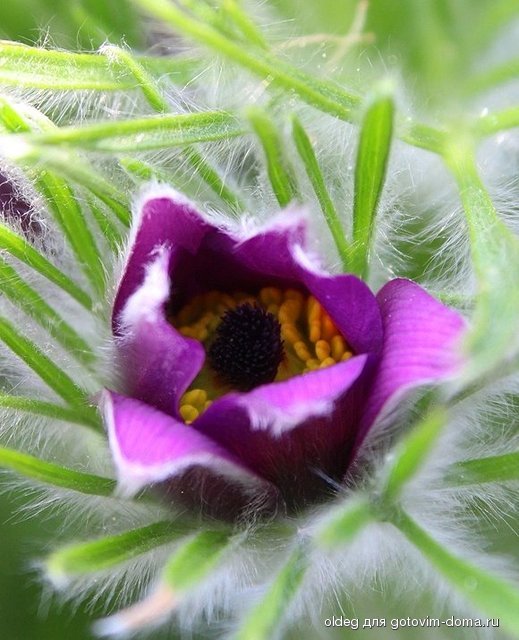 2013_05_05_0355.jpg