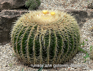 323144_r_by_nafas_pixelio_300.jpeg