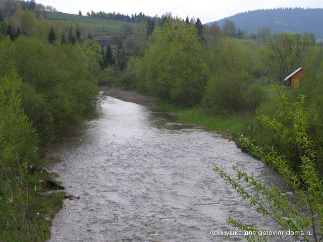 P5010112.jpg