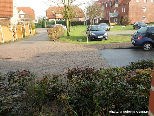 DSCN0457.JPG
