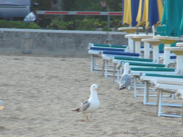 DSC00495.JPG