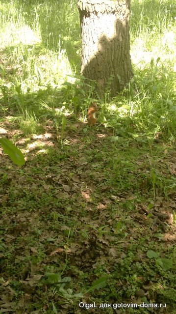 2013-06-08-835.jpg