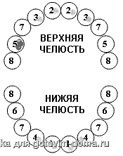 rayd_zybov1.gif