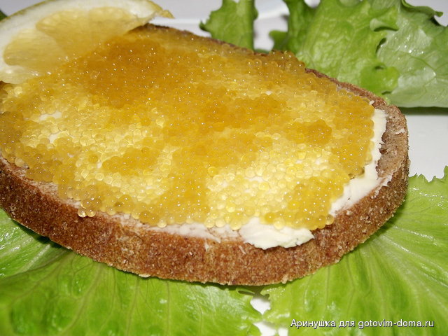 DSCF1253.jpg