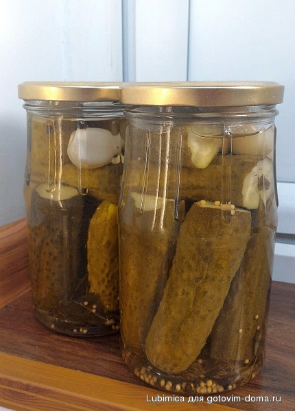 Юлины огурцы.jpg
