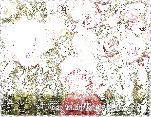 04.gif