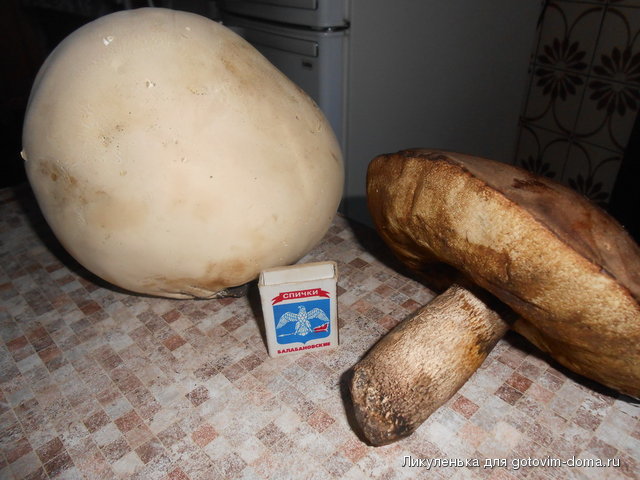 DSCN2253.jpg