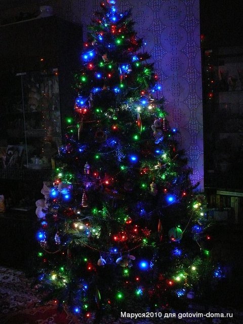 P1080900.JPG