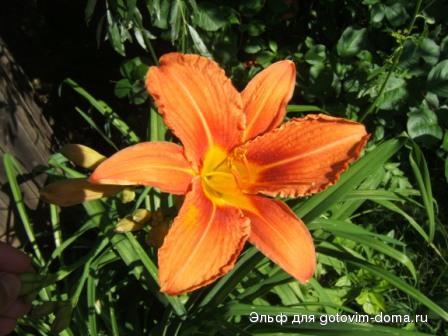DSCF9353.JPG