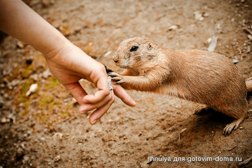 Handshake_by_BetaAquilae.jpg