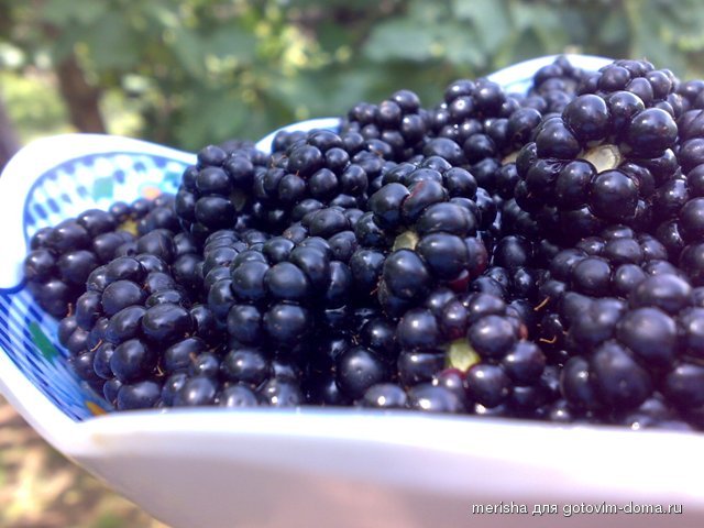 08082012507.jpg