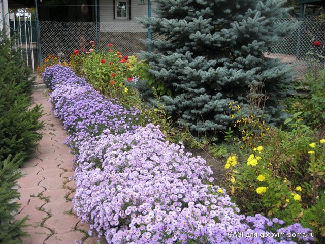 IMG_4577.JPG