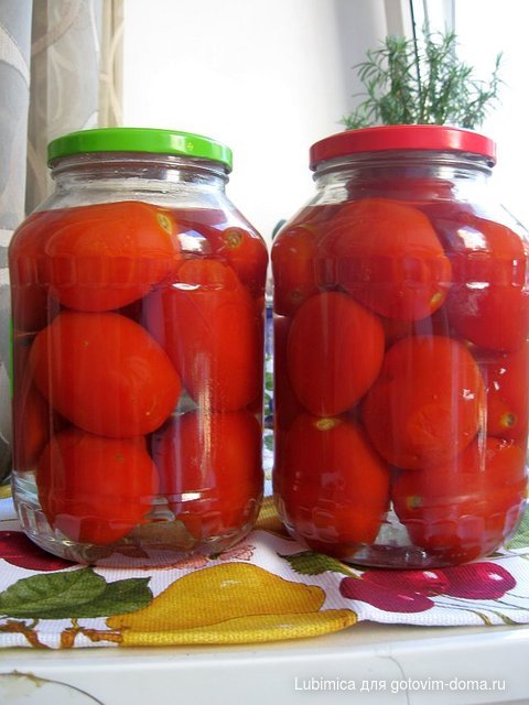 помидоры тани золушки.jpg