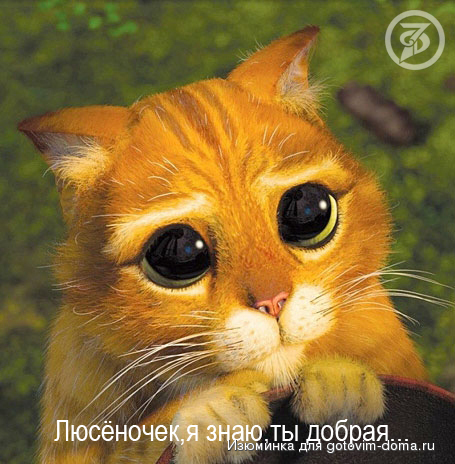 Shrek1_fmt copy.jpg