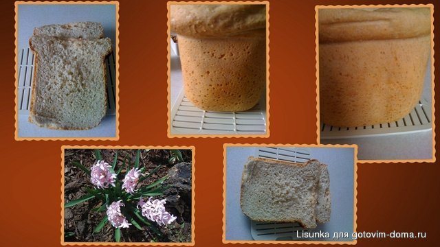 Collage82.jpg