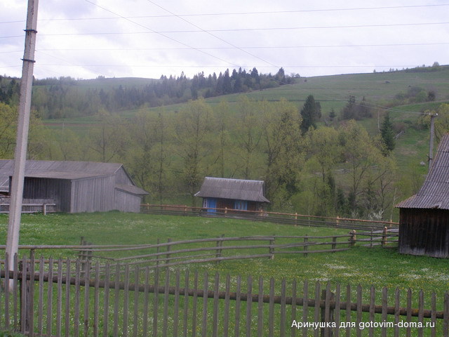 P5010080.jpg