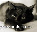 света38.jpg