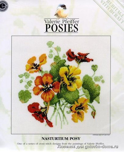 PM4-VPNP698_Nasturtium Posy.jpg