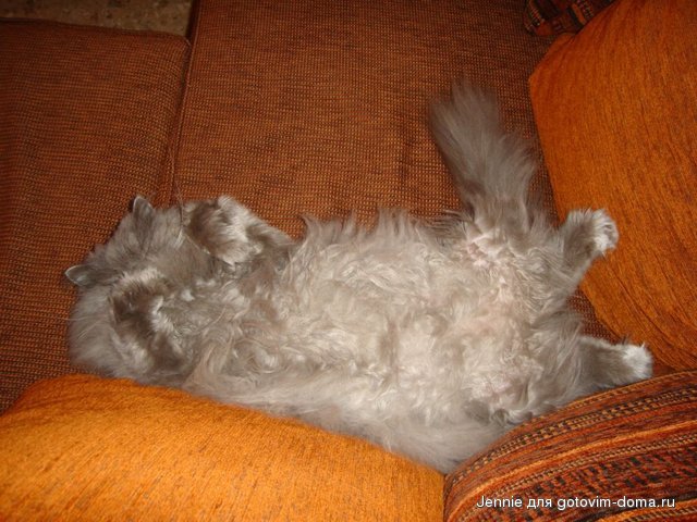 DSC01427n.jpg