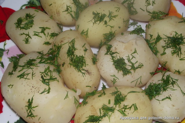 DSCF2491.jpg