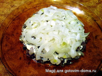 DSC01676.jpg