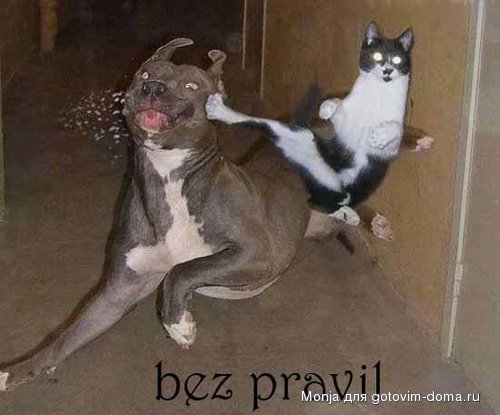 bez pravil.jpg