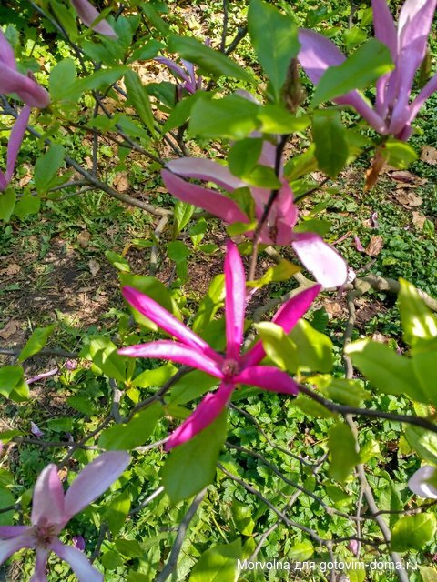 IMG_20170507_114651_HDR.jpg