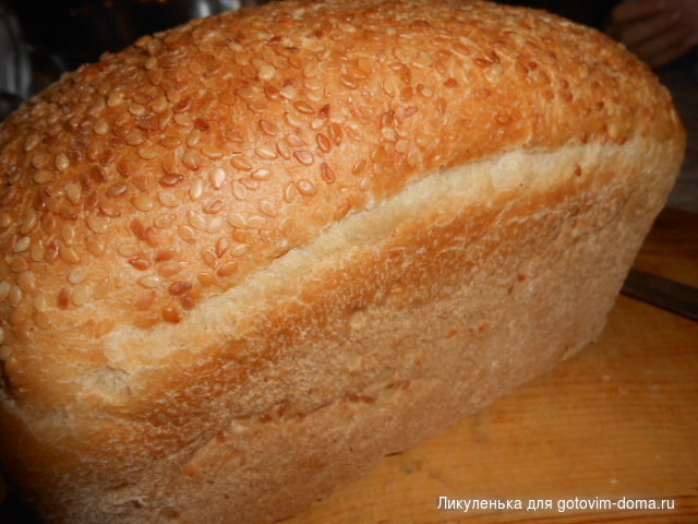 DSCN4814.JPG