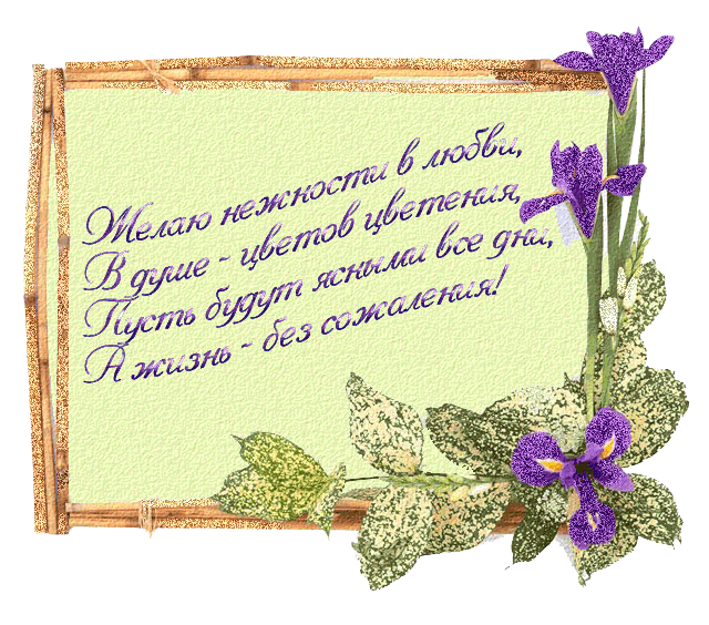 113.gif