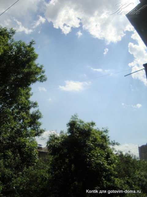 DSC08194.JPG