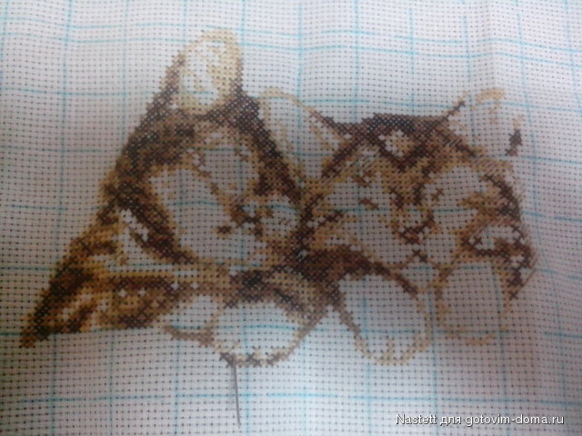 Вышивка Котята 19.12.2013.jpg