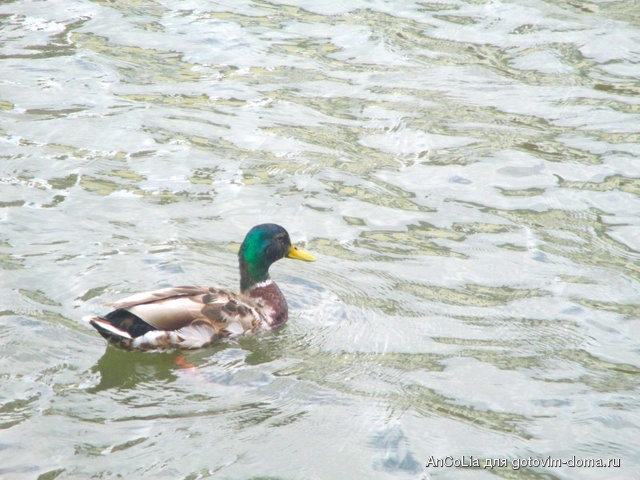 IMG_3359.jpg
