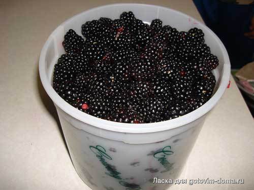 Picture-537.jpg