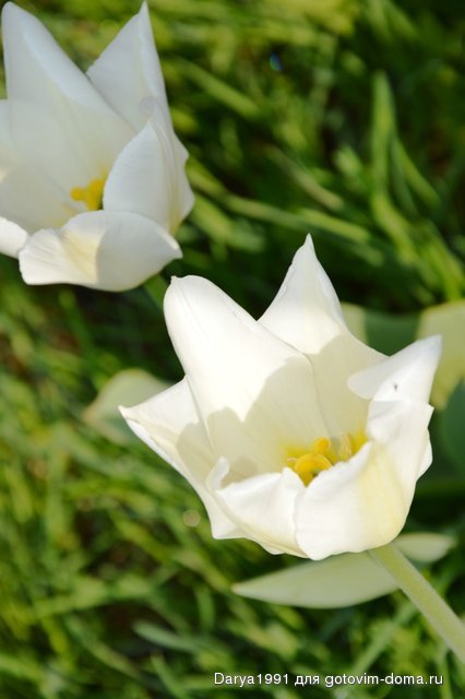 DSC_0142.JPG